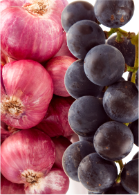 Quercetin and Resveratrol